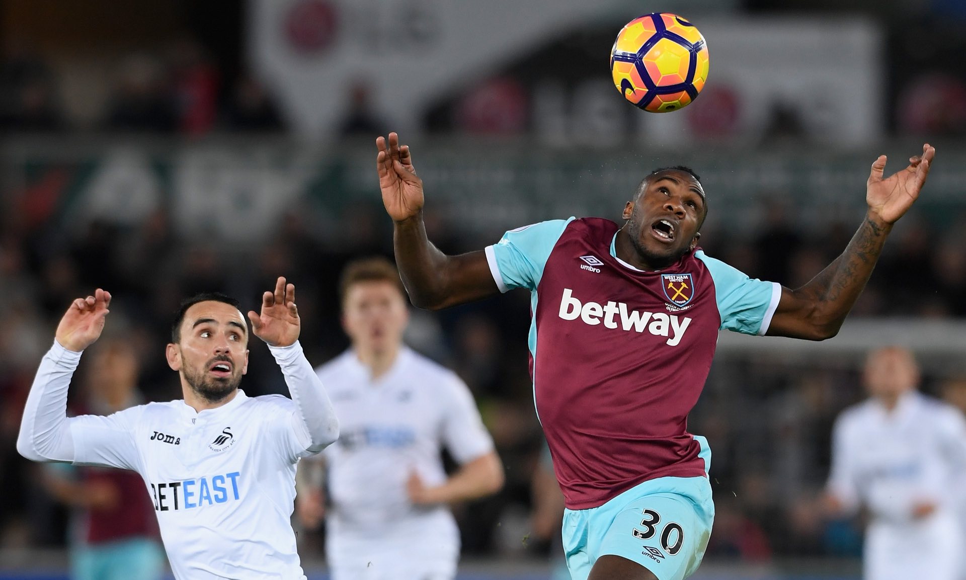 选手西本拳 选手西本拳